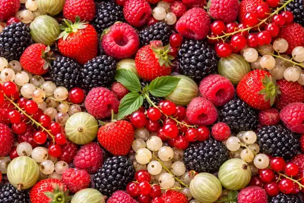 Bild von verschiedenen Beeren. Beerenobsttag der Fachgruppe Obstbau Bonn/Rhein-Sieg
